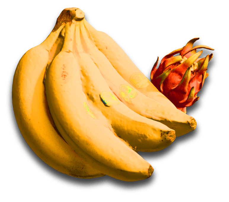Fruit models courtesy of Kiri engine