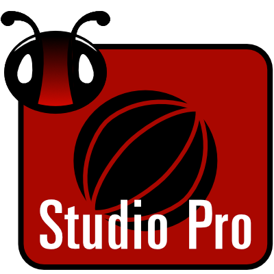 3DBug Studio Pro - 12 month plan